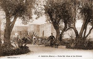 BIVEN Georges - 206 - Oujda